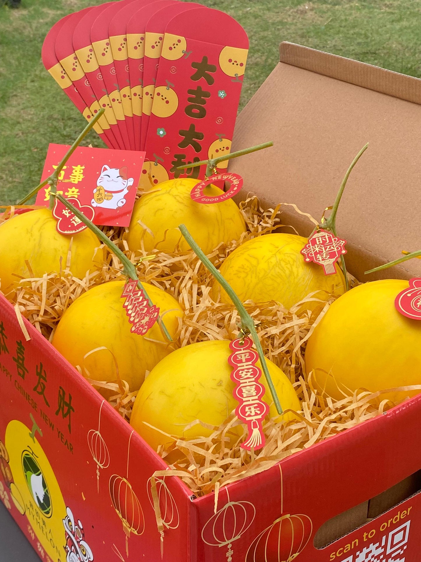 Golden Prosperity Box of 6 GM