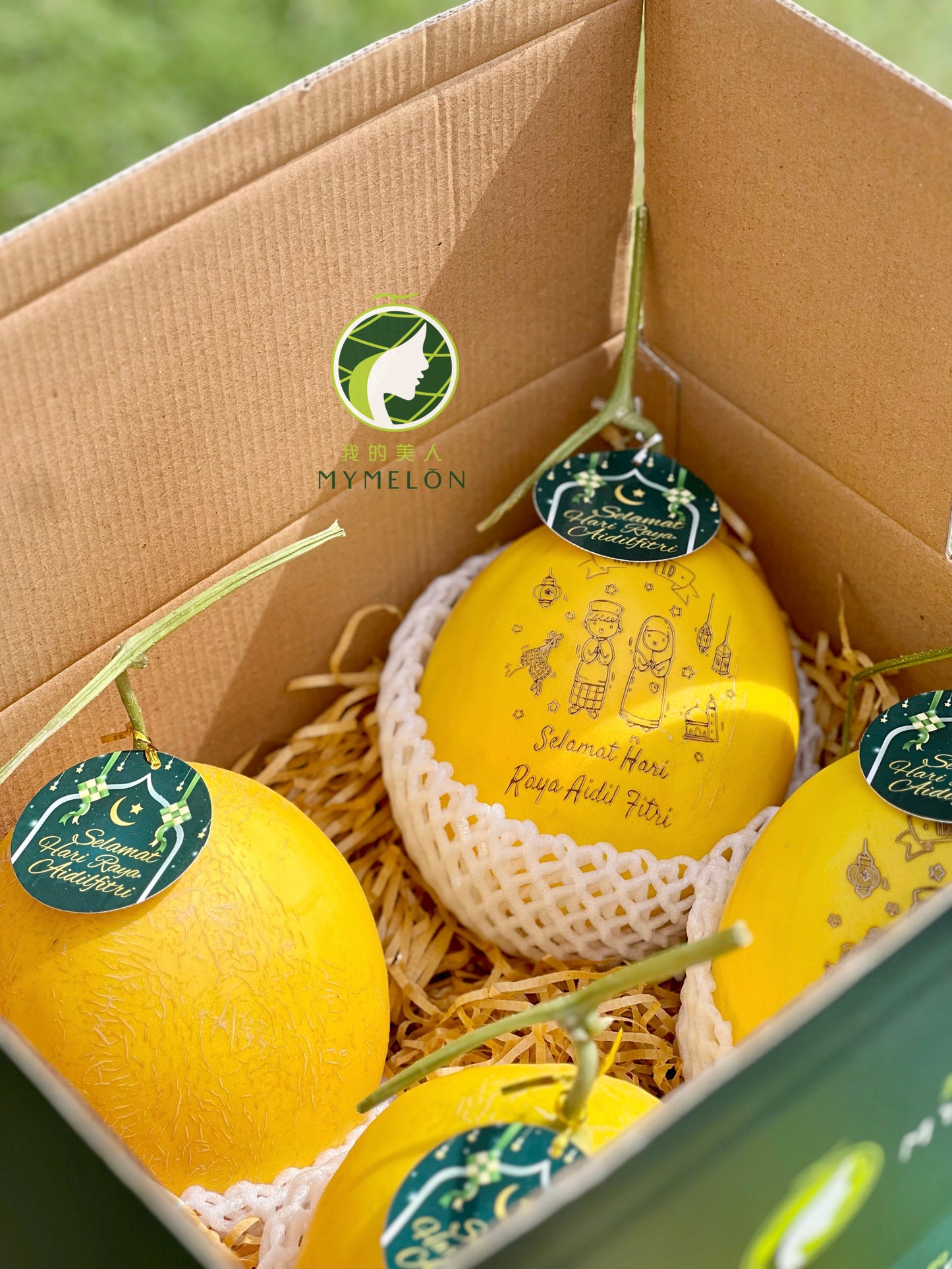 ๐๐จ๐ญ๐๐ค ๐๐๐ฒ๐ ๐๐๐ก๐๐ ๐ข๐ ๐ - 2 Golden Melons ๐๐