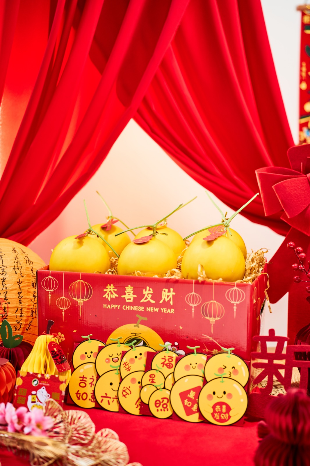 Golden Prosperity Box of 6 GM