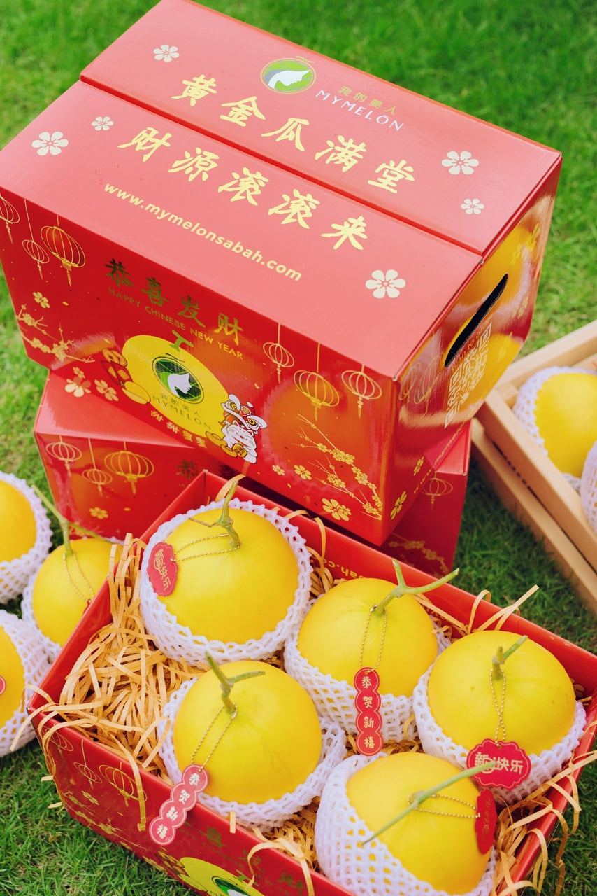 Golden Prosperity Box of 5 GM