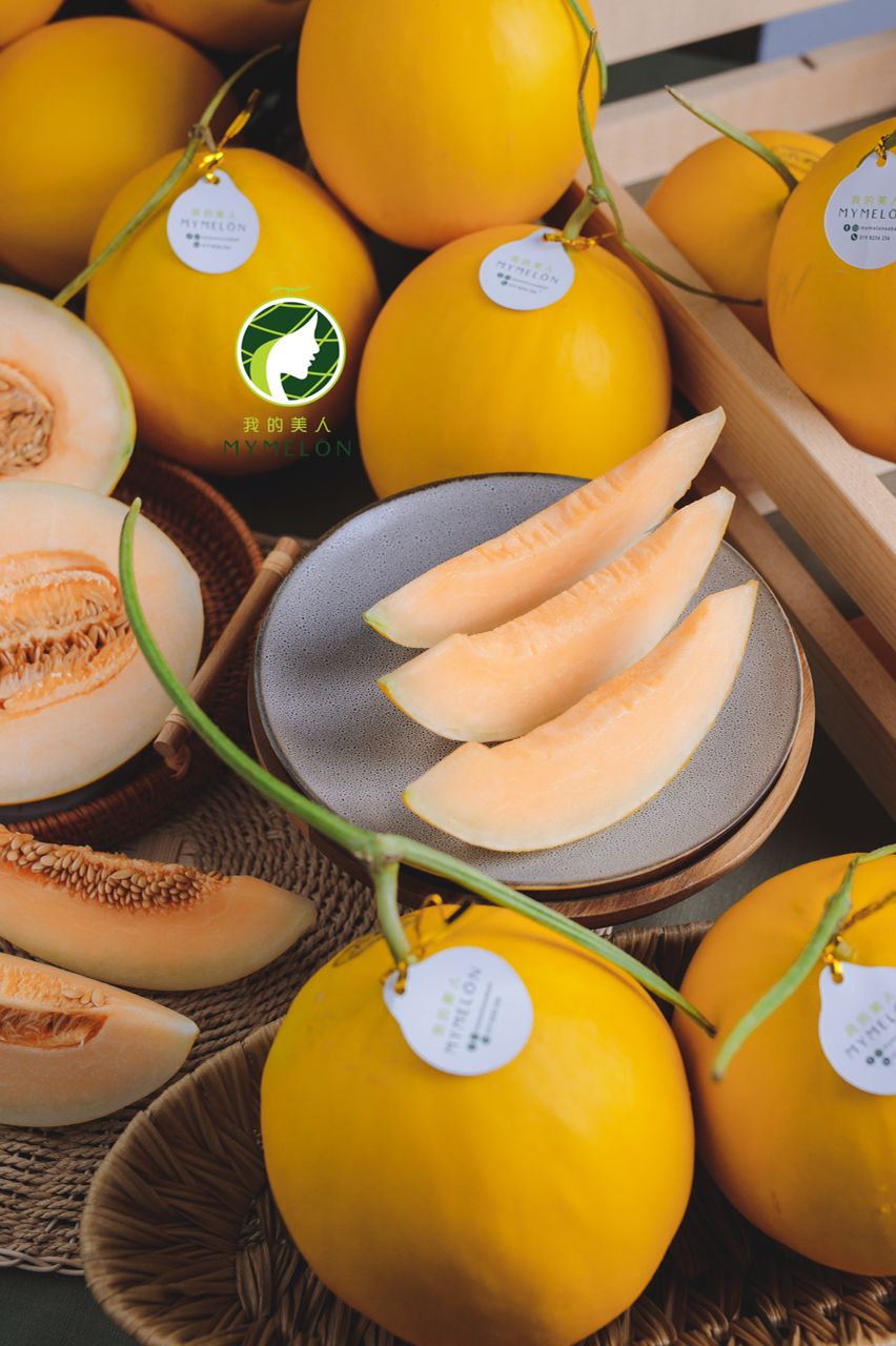 Box Ofmelon Box of 2 Golden Melon – MyMelon Sabah
