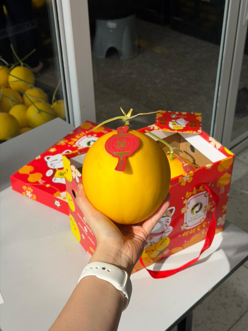 (800g - 899g) Double Fortune Box of 2GM