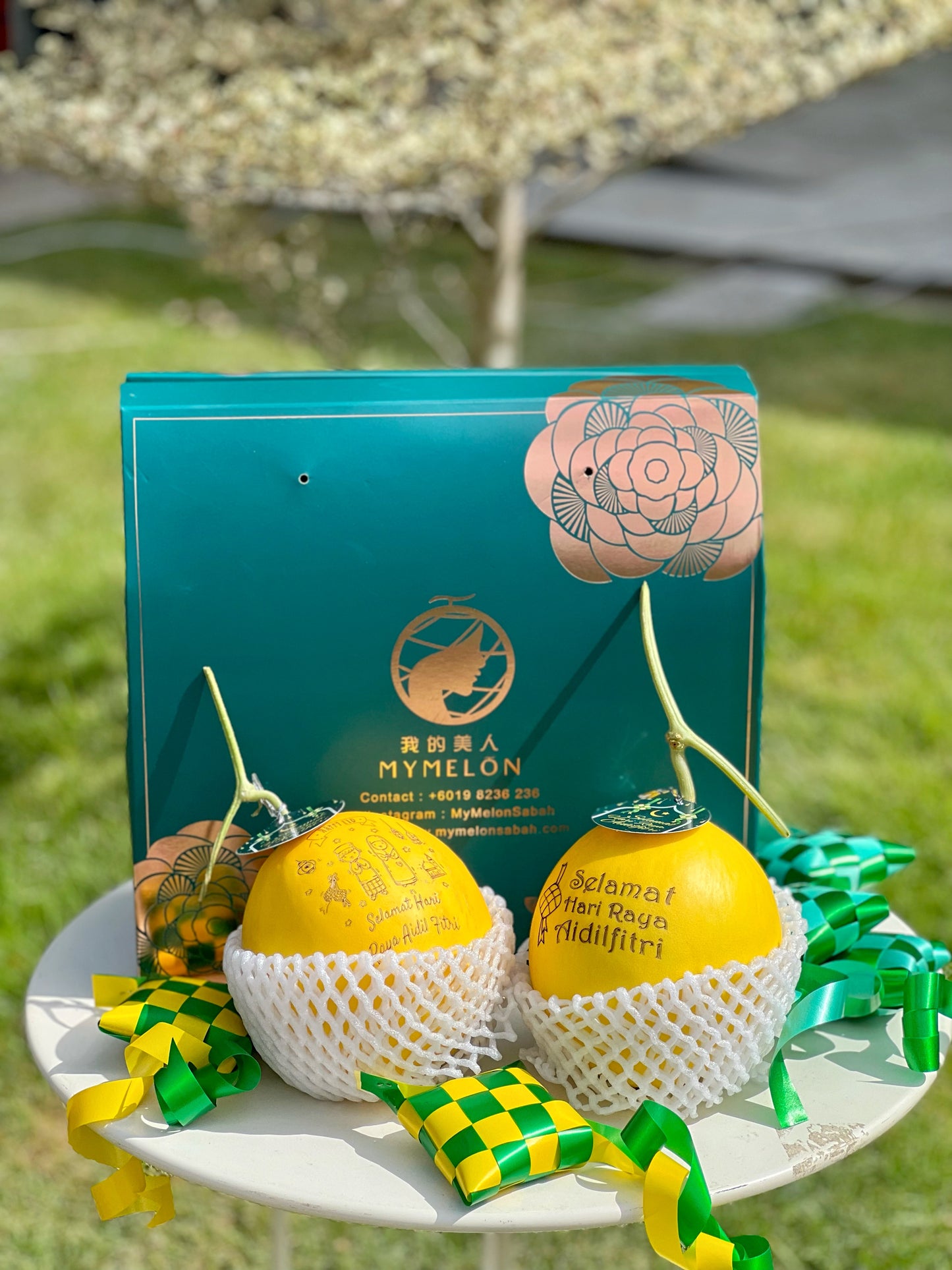𝐊𝐨𝐭𝐚𝐤 𝐑𝐚𝐲𝐚 𝐁𝐚𝐡𝐚𝐠𝐢𝐚 𝐀 - 2 Golden Melons 💛💛