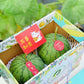 A Box of 2 Melon-licious Watermelons 🍉🍈
