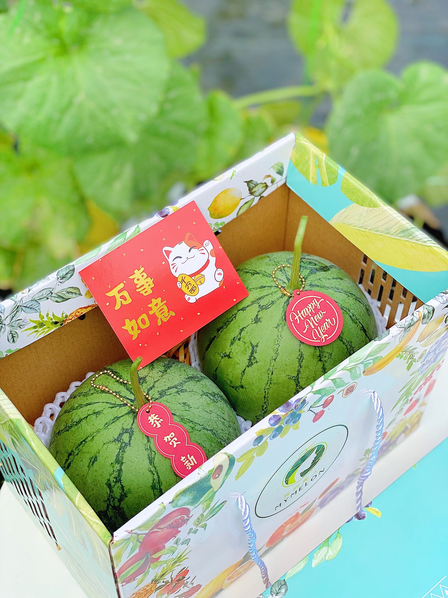 A Box of 2 Melon-licious Watermelons 🍉🍈