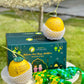 𝐊𝐨𝐭𝐚𝐤 𝐑𝐚𝐲𝐚 𝐌𝐞𝐫𝐢𝐚𝐡 - 4 Golden Melons