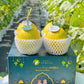 𝐊𝐨𝐭𝐚𝐤 𝐑𝐚𝐲𝐚 𝐌𝐞𝐫𝐢𝐚𝐡 - 4 Golden Melons