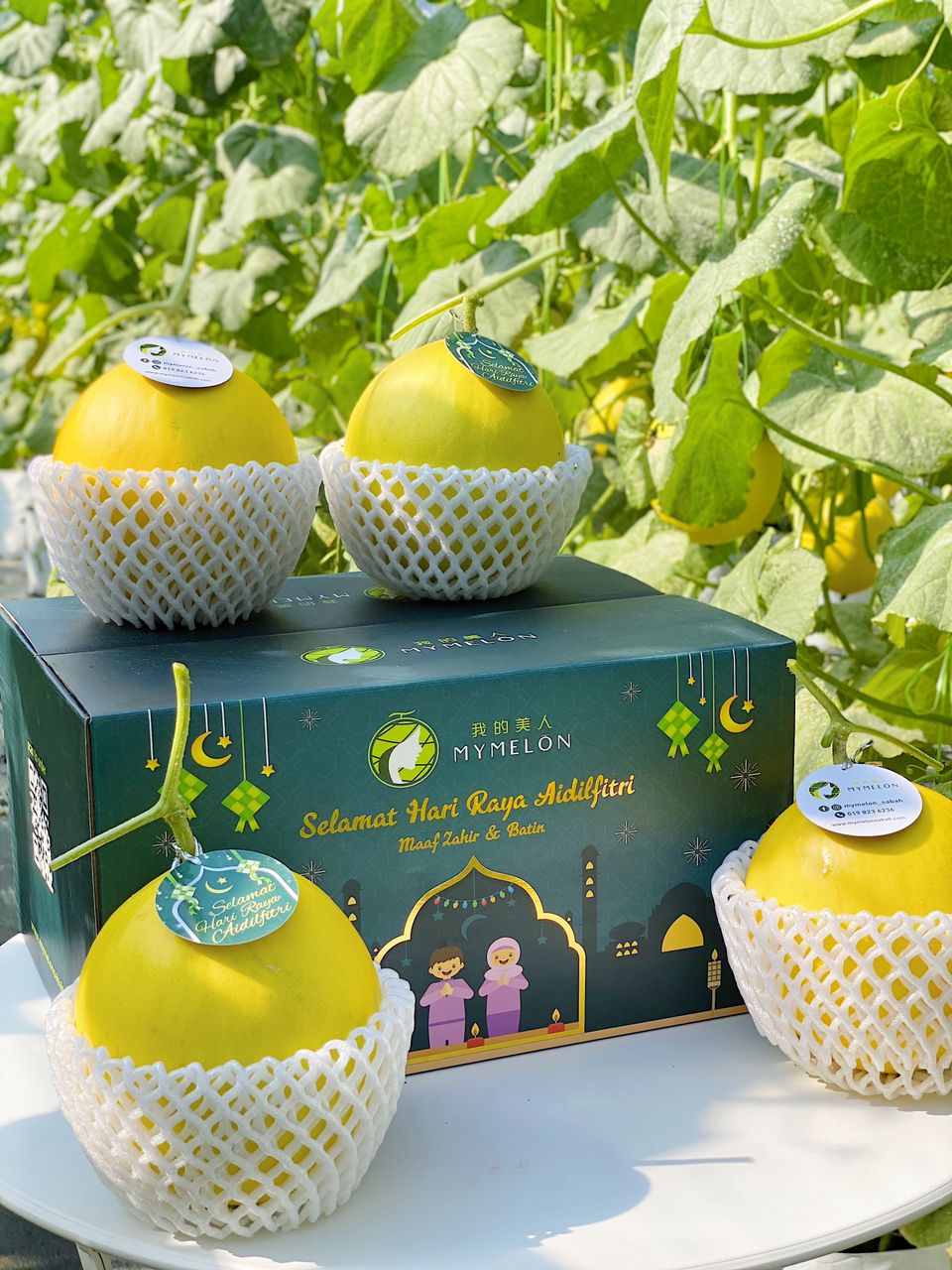 𝐊𝐨𝐭𝐚𝐤 𝐑𝐚𝐲𝐚 𝐌𝐞𝐫𝐢𝐚𝐡 - 4 Golden Melons