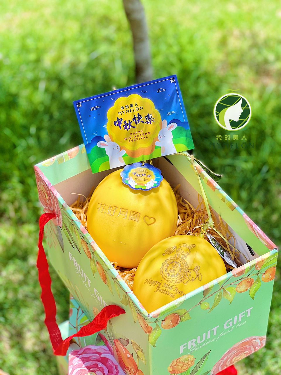 Double Moon Box (2 Golden Melons 💛💛)