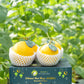 𝐊𝐨𝐭𝐚𝐤 𝐑𝐚𝐲𝐚 𝐌𝐞𝐫𝐢𝐚𝐡 - 4 Golden Melons