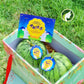 Double Moon Box D (2 Watermelons ❤️❤️)